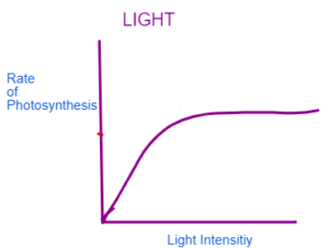 gcse science biology photosynthesis worksheet answers