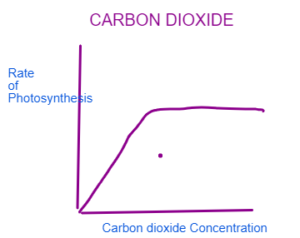 gcse science biology photosynthesis worksheet answers