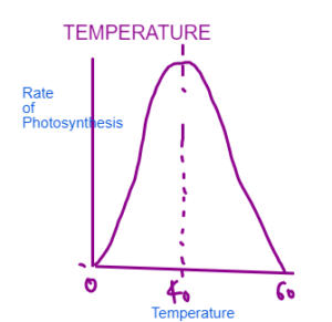 gcse science biology photosynthesis worksheet answers