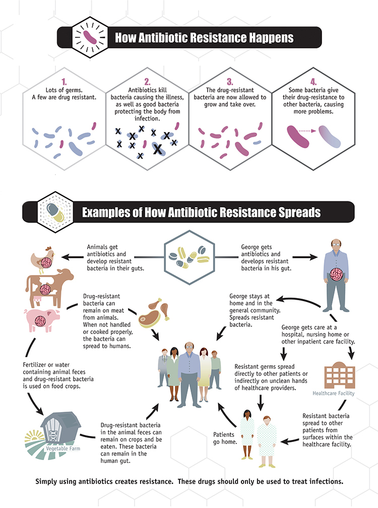 INFECTION AND RESPONSE
