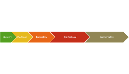 INFECTION AND RESPONSE