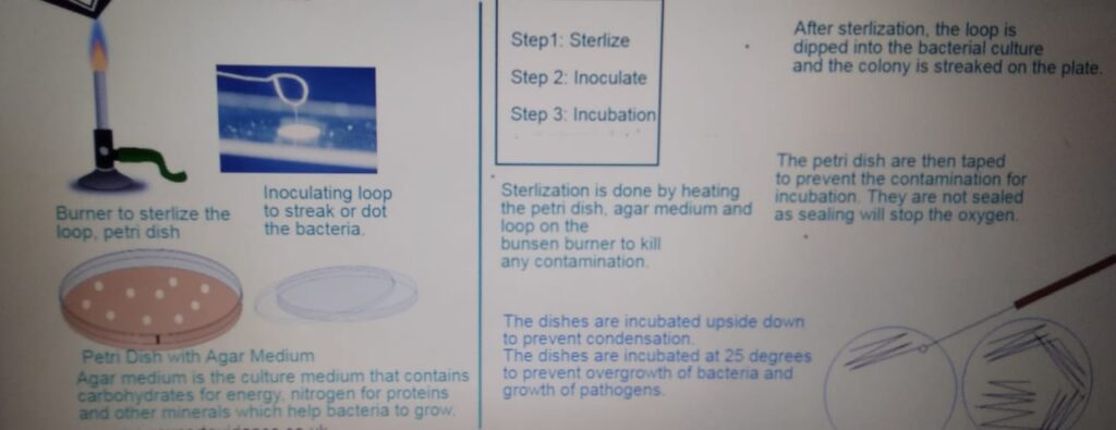 INFECTION AND RESPONSE