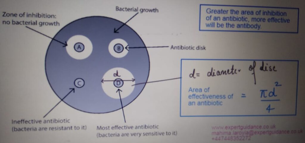 INFECTION AND RESPONSE