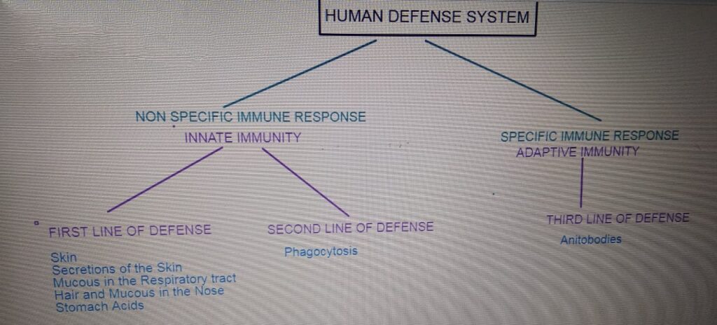 INFECTION AND RESPONSE