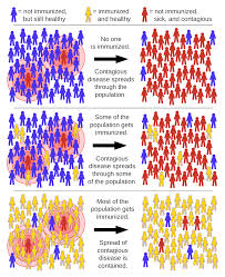 INFECTION AND RESPONSE