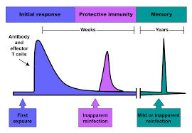 INFECTION AND RESPONSE